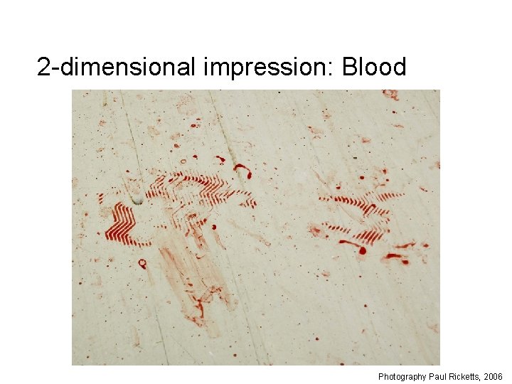 2 -dimensional impression: Blood Photography Paul Ricketts, 2006 