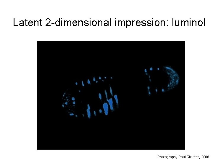 Latent 2 -dimensional impression: luminol Photography Paul Ricketts, 2006 
