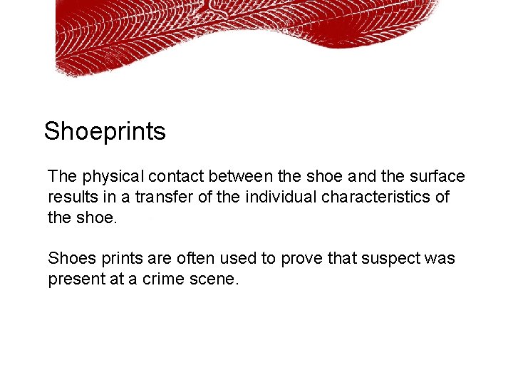 Shoeprints The physical contact between the shoe and the surface results in a transfer