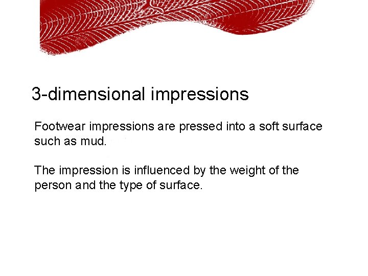 3 -dimensional impressions Footwear impressions are pressed into a soft surface such as mud.