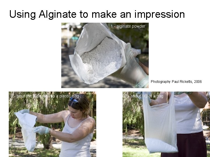 Using Alginate to make an impression 1 - alginate powder Photography Paul Ricketts, 2006