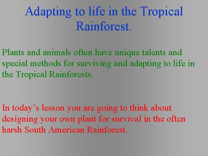 Adapting to life in the Tropical Rainforest. Plants and animals often have unique talents Adapting to life in the Tropical Rainforest. Plants and animals often have unique talents