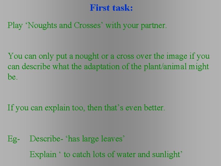 First task: Play ‘Noughts and Crosses’ with your partner. You can only put a First task: Play ‘Noughts and Crosses’ with your partner. You can only put a