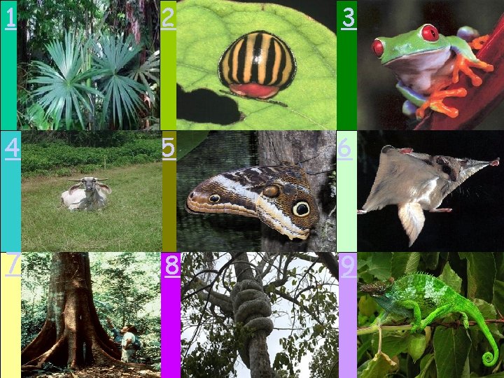 1 2 3 4 5 6 7 8 9 1 2 3 4 5 6 7 8 9