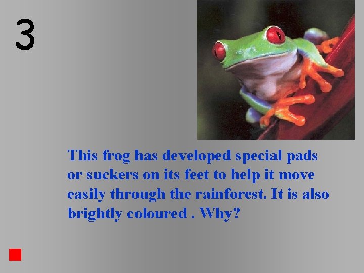 3 This frog has developed special pads or suckers on its feet to help 3 This frog has developed special pads or suckers on its feet to help