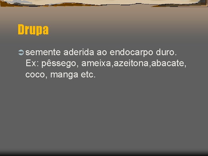 Drupa Ü semente aderida ao endocarpo duro. Ex: pêssego, ameixa, azeitona, abacate, coco, manga