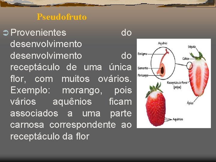 Pseudofruto Ü Provenientes do desenvolvimento do receptáculo de uma única flor, com muitos ovários.