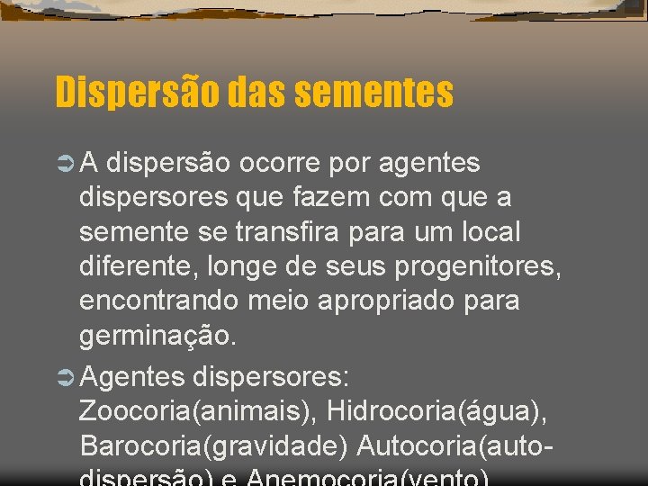 Dispersão das sementes ÜA dispersão ocorre por agentes dispersores que fazem com que a