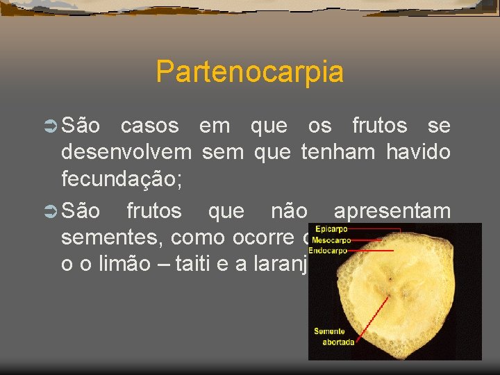 Partenocarpia Ü São casos em que os frutos se desenvolvem sem que tenham havido