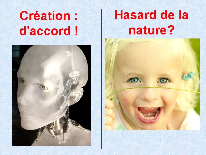 Création : d'accord ! Hasard de la nature? 