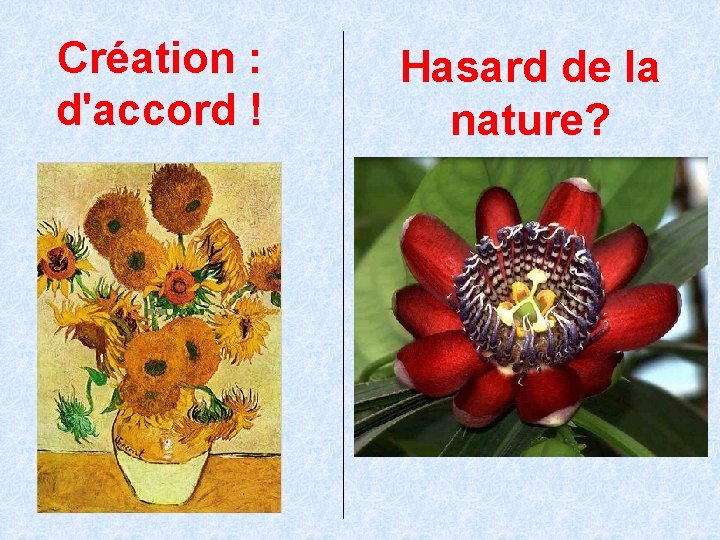 Création : d'accord ! Hasard de la nature? 