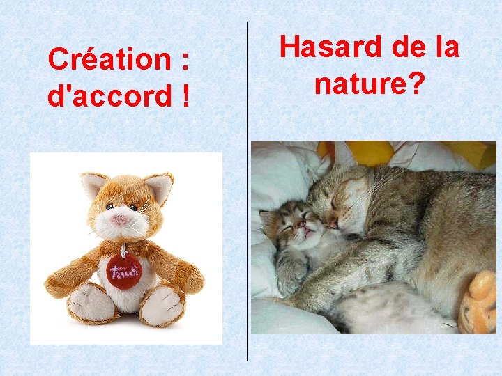 Création : d'accord ! Hasard de la nature? 