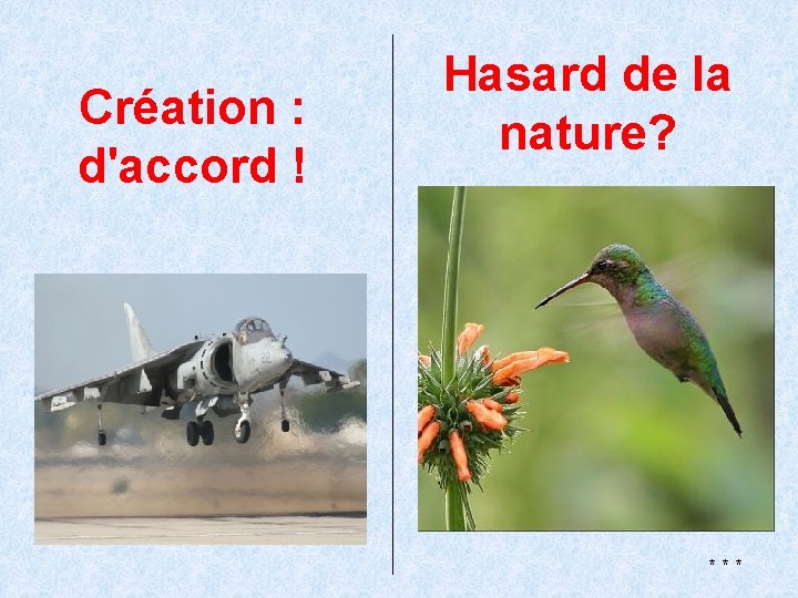 Création : d'accord ! Hasard de la nature? *** 