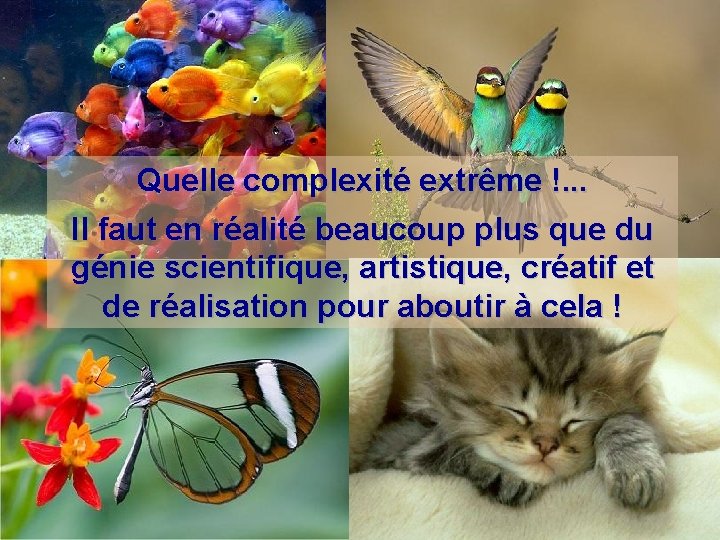 Quelle complexité extrême !. . . Il faut en réalité beaucoup plus que du