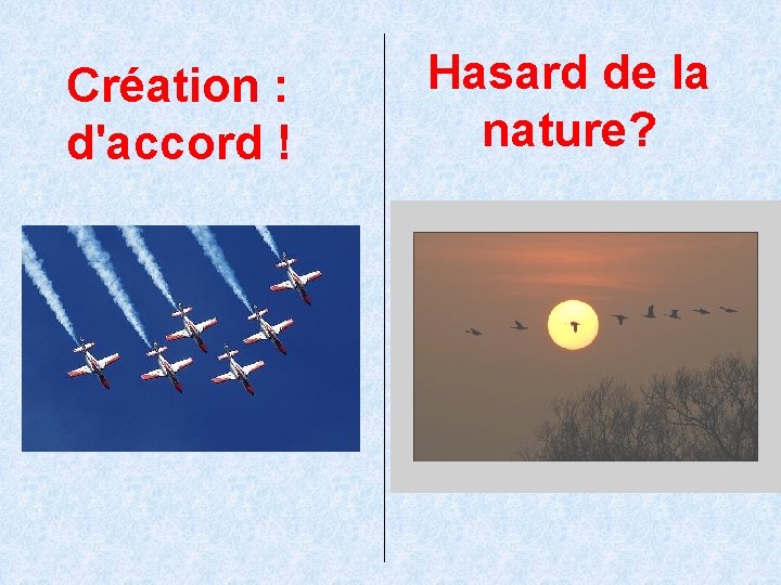 Création : d'accord ! Hasard de la nature? 