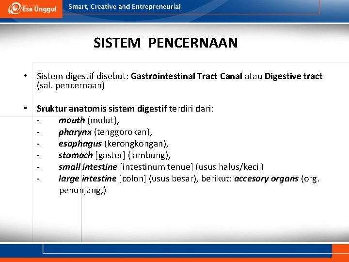 SISTEM PENCERNAAN • Sistem digestif disebut: Gastrointestinal Tract Canal atau Digestive tract (sal. pencernaan)