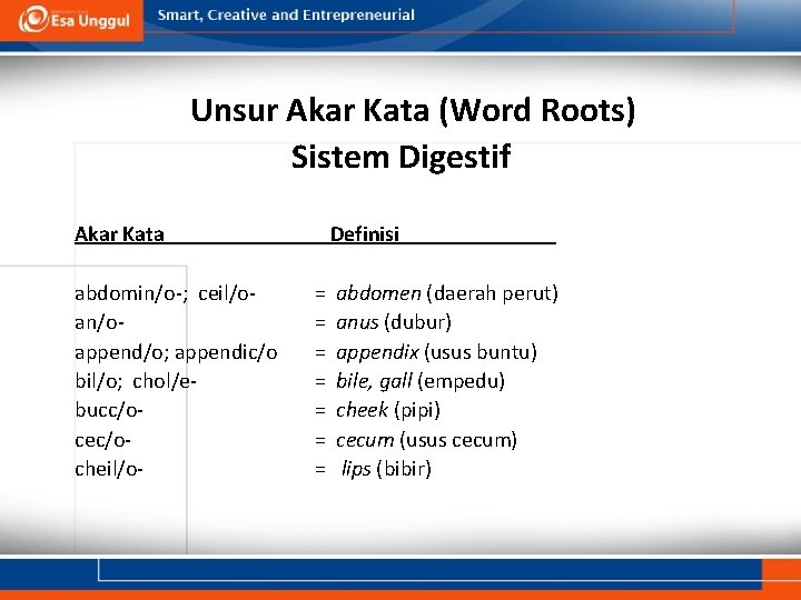 Unsur Akar Kata (Word Roots) Sistem Digestif Akar Kata abdomin/o-; ceil/oan/oappend/o; appendic/o bil/o; chol/ebucc/ocec/ocheil/o-