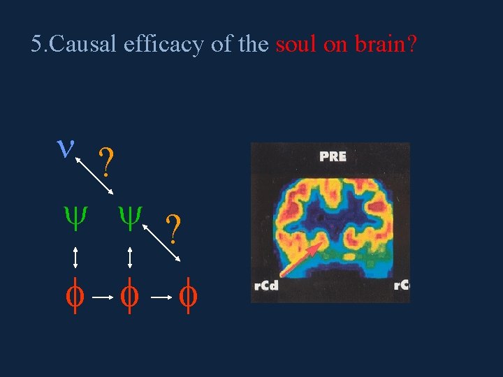 5. Causal efficacy of the soul on brain? n ? y y ? f