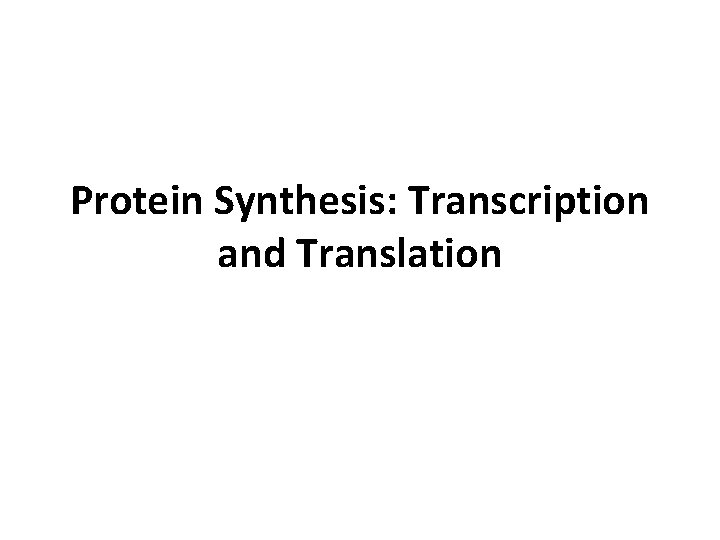 Protein Synthesis: Transcription and Translation 