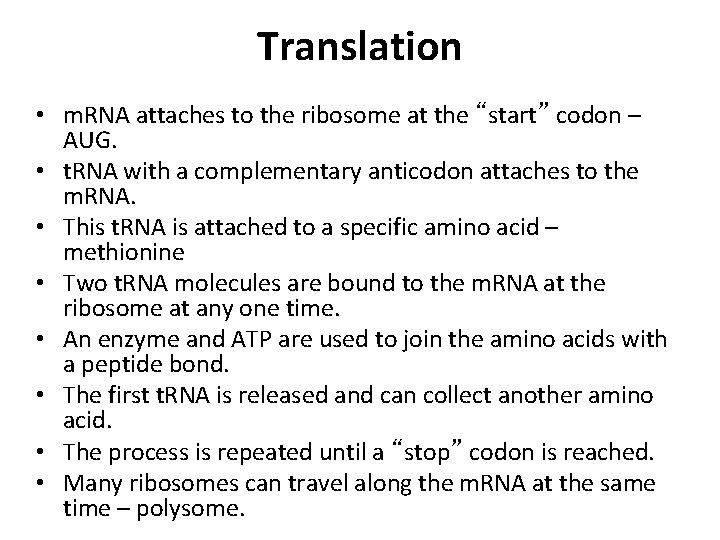 Translation • m. RNA attaches to the ribosome at the “start” codon – AUG.