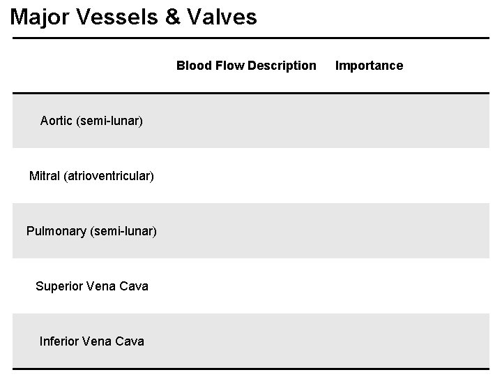 Major Vessels & Valves Blood Flow Description Aortic (semi-lunar) Mitral (atrioventricular) Pulmonary (semi-lunar) Superior