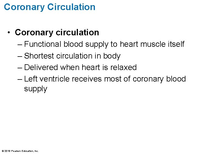 Coronary Circulation • Coronary circulation – Functional blood supply to heart muscle itself –