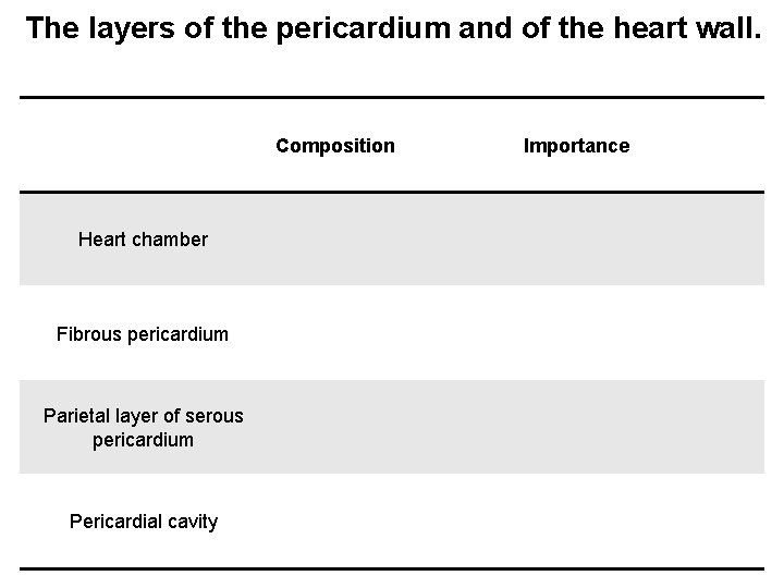 The layers of the pericardium and of the heart wall. Composition Heart chamber Fibrous