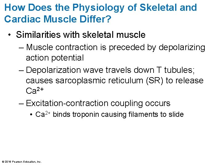 How Does the Physiology of Skeletal and Cardiac Muscle Differ? • Similarities with skeletal