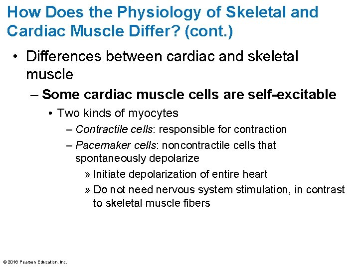 How Does the Physiology of Skeletal and Cardiac Muscle Differ? (cont. ) • Differences