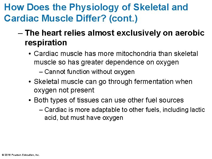 How Does the Physiology of Skeletal and Cardiac Muscle Differ? (cont. ) – The