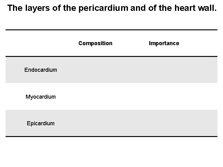 The layers of the pericardium and of the heart wall. Composition Endocardium Myocardium Epicardium