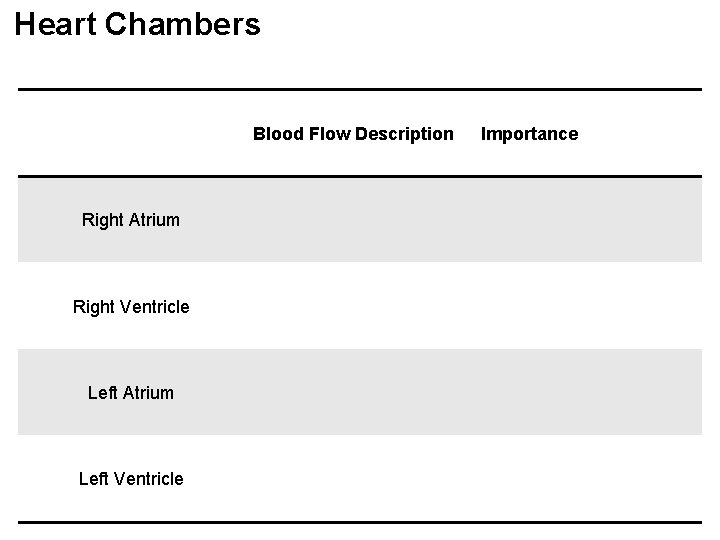 Heart Chambers Blood Flow Description Right Atrium Right Ventricle Left Atrium Left Ventricle Importance