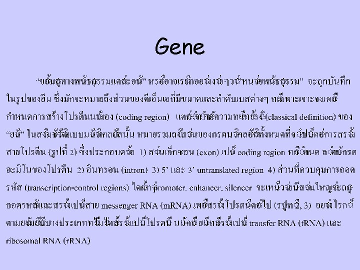 Gene 