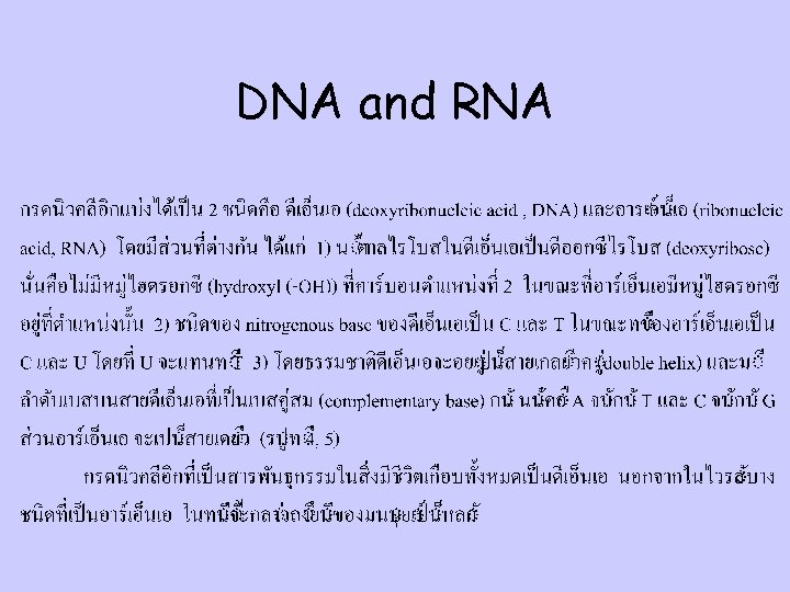 DNA and RNA 