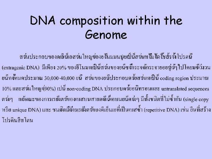 DNA composition within the Genome 