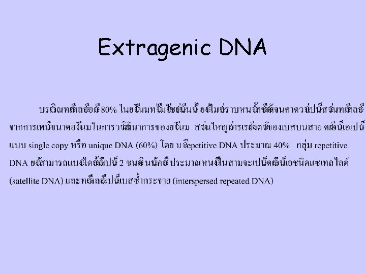 Extragenic DNA 