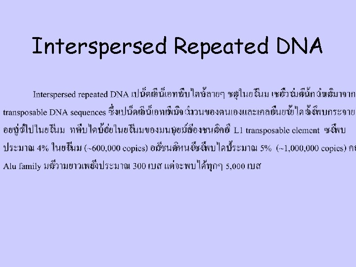 Interspersed Repeated DNA 