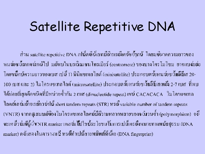Satellite Repetitive DNA 