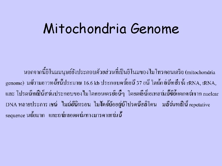 Mitochondria Genome 