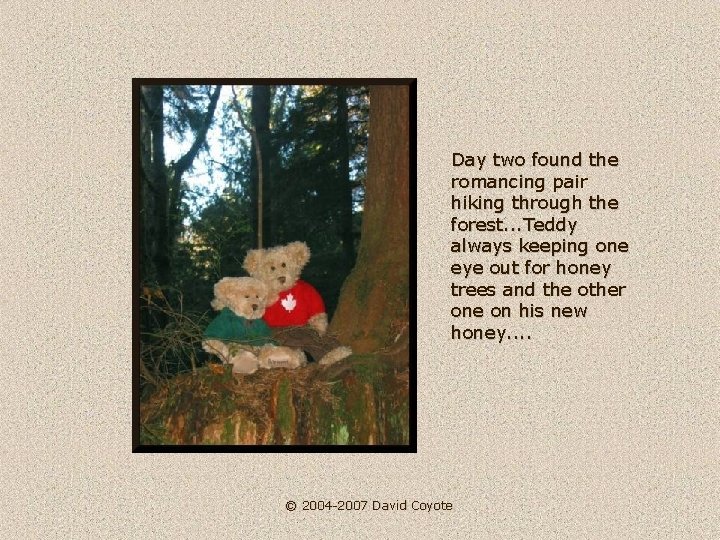 Day two found the romancing pair hiking through the forest. . . Teddy always