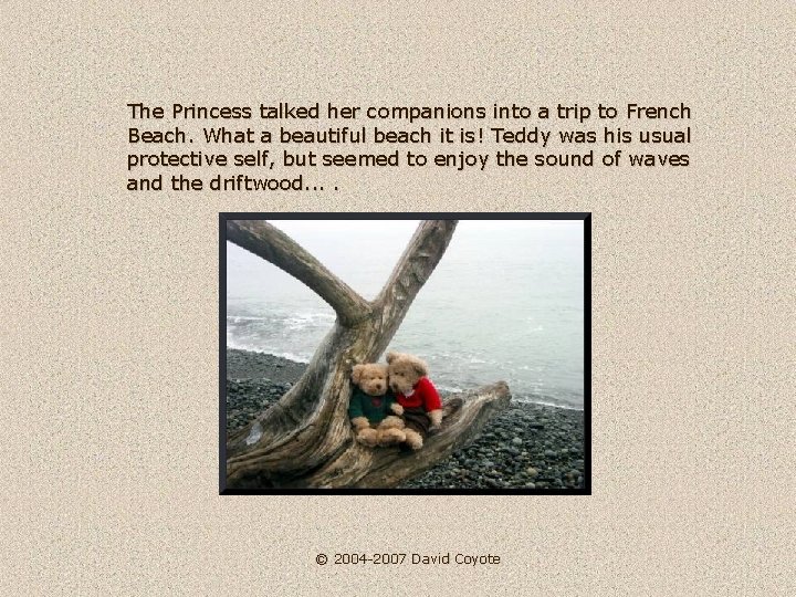 The Princess talked her companions into a trip to French Beach. What a beautiful