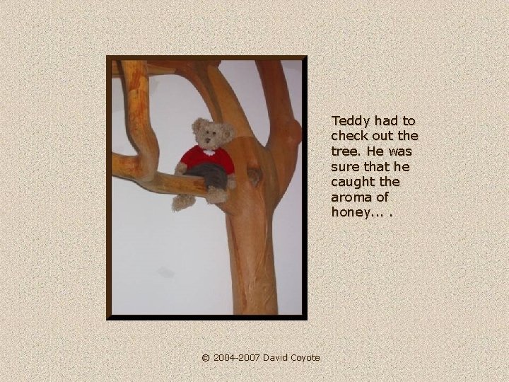 Teddy had to check out the tree. He was sure that he caught the