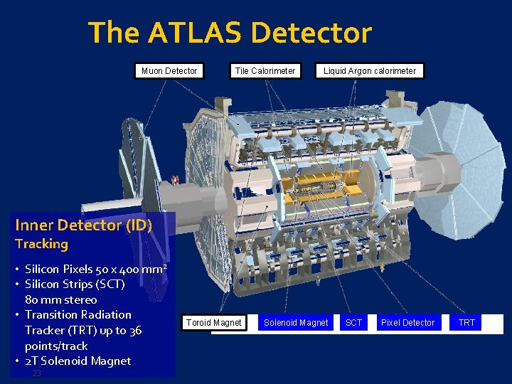 The ATLAS Detector Muon Detector Tile Calorimeter Liquid Argon calorimeter Inner Detector (ID) Tracking