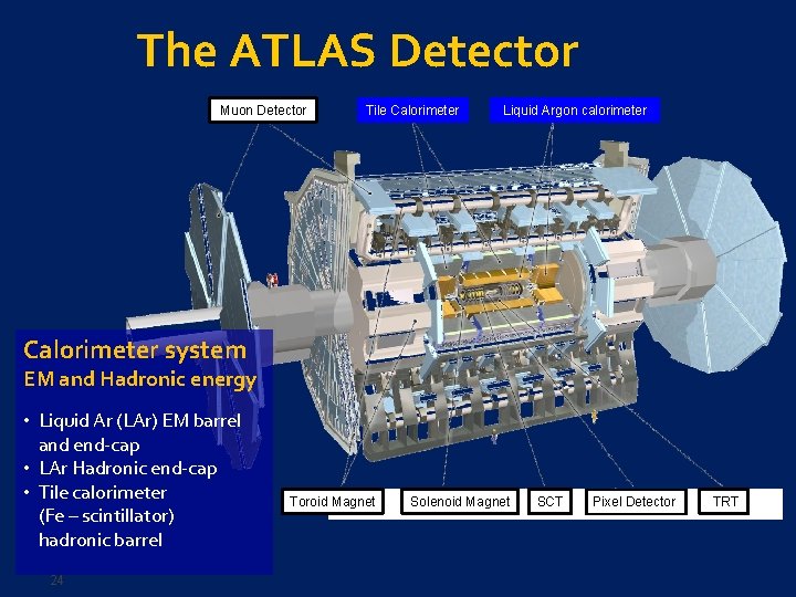 The ATLAS Detector Muon Detector Tile Calorimeter Liquid Argon calorimeter Calorimeter system EM and