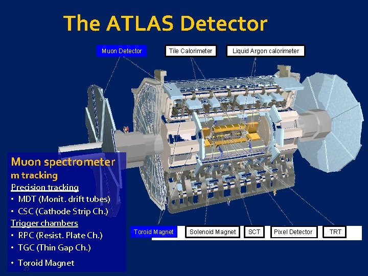 The ATLAS Detector Muon Detector Tile Calorimeter Liquid Argon calorimeter Muon spectrometer m tracking