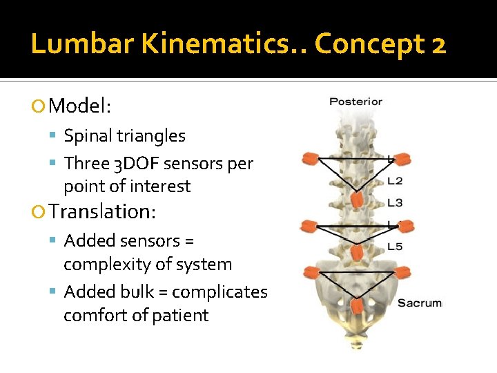 Lumbar Kinematics. . Concept 2 Model: Spinal triangles Three 3 DOF sensors per point