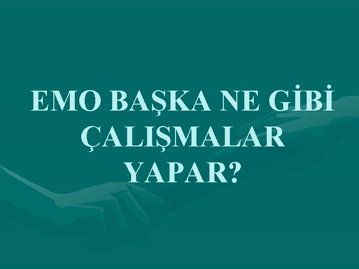 EMO BAŞKA NE GİBİ ÇALIŞMALAR YAPAR? 