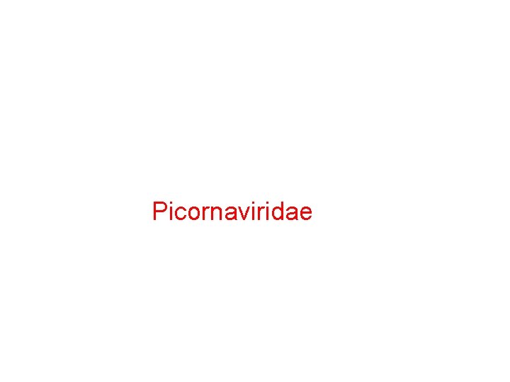 Picornaviridae 