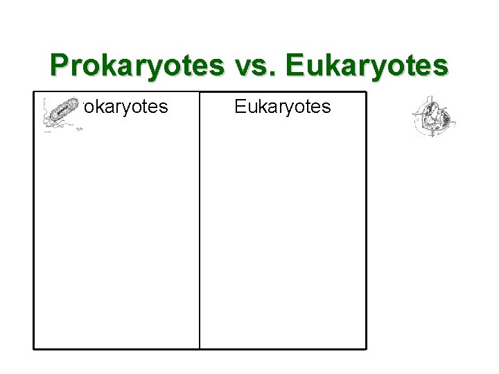 Prokaryotes vs. Eukaryotes Prokaryotes Eukaryotes 