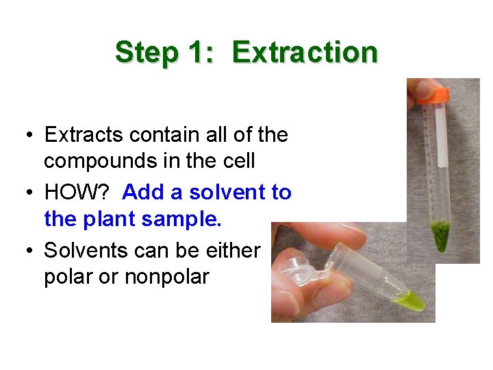 Step 1: Extraction • Extracts contain all of the compounds in the cell •